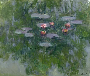Waterlelies, 1916-19